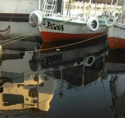 Aswan Alquiler De Eote | اسوان