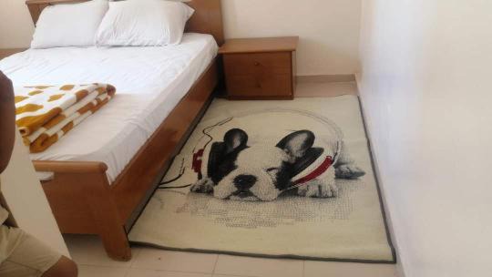 Essaouira Apartamento | الصويرة