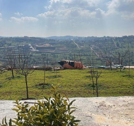 Ajloun Governorate Apartamento | بيت في رأس منيف