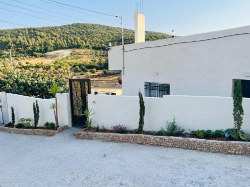 Ajloun Casa | بيت مستقل مطل على اجمل الغابات في عجلون