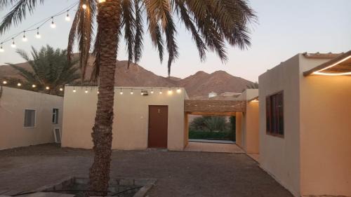 Ash Sharqiyah North Governorate Casa | مزرعة نحل العسل
