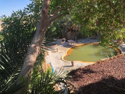 Siwa Complejo | ملاذ Haven Resort Siwa-MALATH