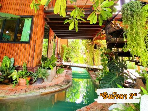 Sena Casa | บ้านนกฮูกอิงไม้ อิงมัจฉา 2