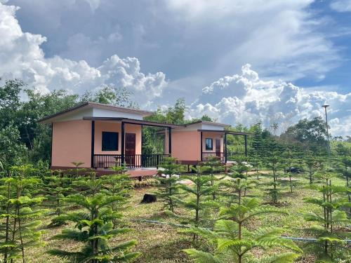 Khao Kho Casa | บ้านสวนหมอกเขาค้อ b2