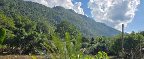 Chiang Dao Casa | ปิงโค้งเม้าท์เท่นวิว