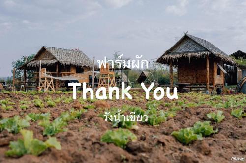 Thai Samakkhi Casa | ฟาร์มผัก Thank you