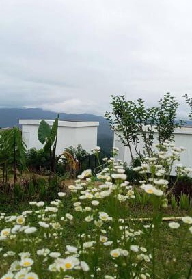 Mae Rim Casa | ภูศิโยน ม่อนแจ่ม