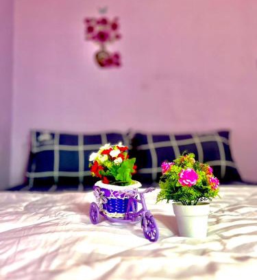 Ko Libong Casa | ลูกดกแน่โฮมสเตย์ ที่พักเกาะลิบง