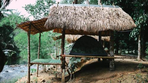 Phato Otro | สวนบุศรา ลานกางเต็นท์วิถีเกษตร