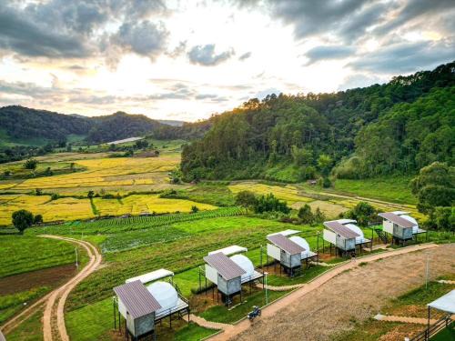 Huai Makhuea Som Otro | สวนไร่รุ่งอรุณ Suan Rai Rungarun