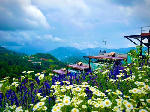 Mae Rim Otro | แสงเหนือแคมป์ปิ้งม่อนแจ่ม