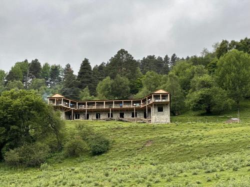 Dartlo Casa | ვასოს შინ - Vasos Home