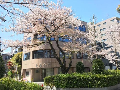 Adachi Casa | ゲストハウス昴
