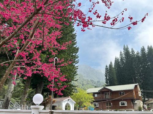 Nanzhuang Casa | 南苑莊園 NanYuan Resort Manor