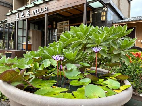 Jinning Casa | 夏之戀民宿 可包棟 近金城市區