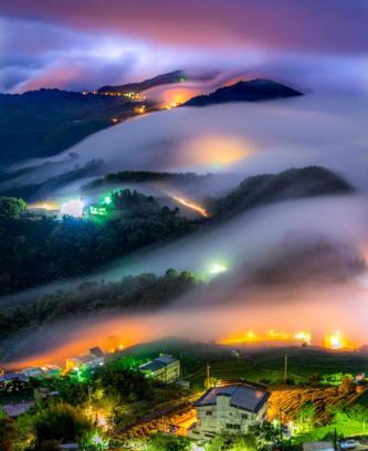 Alishan Casa | 天隆製茶廠民宿