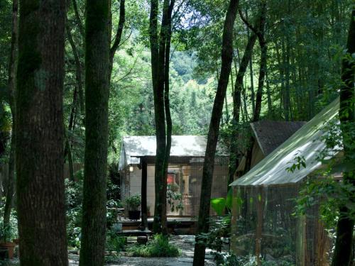 Changjiang County Casa | 景德镇树园心舍民宿 Forest Haven B&B