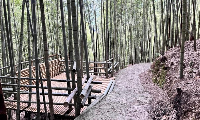 Sanyi Casa | 牛奶森林 柏竺山莊Bozhu villa