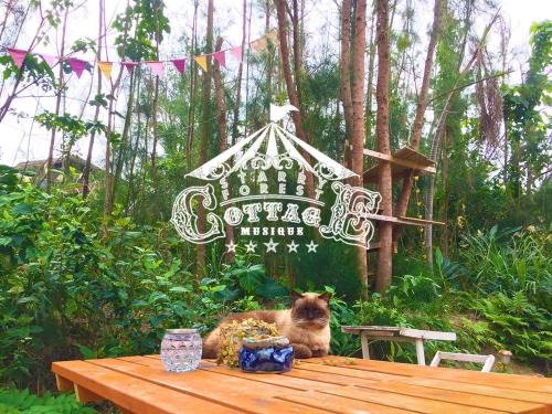 Nakama Casa | 猫とピアノと星空のリゾートブティックコテージ -Starry Forest Cottage Okinawa-
