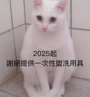 Xincheng Casa | 自然海naturalhigh