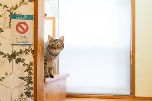 Kokubunji Cho Shinmyo Casa | 香川のゲストハウスFDroom