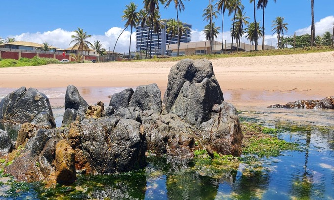 Stella Maris Apartamento | 1 Bedroom Apartment with Sea View - Salvador - Work and Leisure at the same time