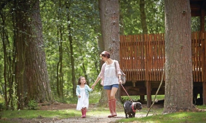 Pickering Cabina | 1 bedroom accommodation in Nr Pickering