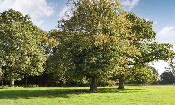 Palgrave Cabaña | 1 bedroom accommodation in Palgrave, near Diss