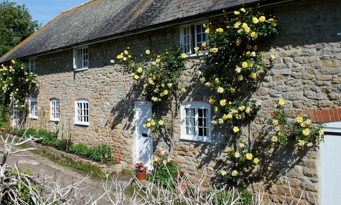 Abbotsbury Cabaña | 1 bedroom accommodation in Abbotsbury, near Weymouth