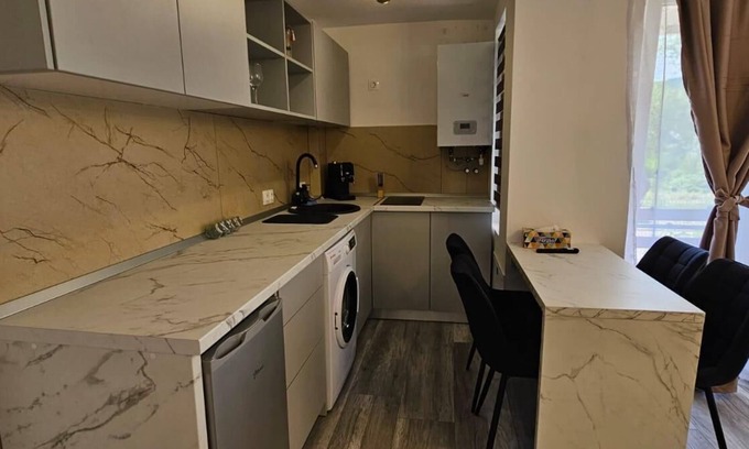 Viseu de Sus Apartamento | Apartament 1 camera perfect pentru cupluri.Are un design modern si elegant.