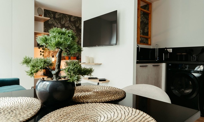 Mulhouse Apartamento | 1 bedroom apartment in mulhouse