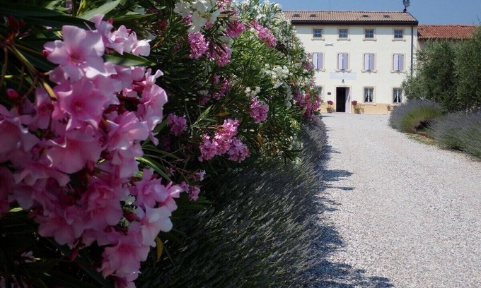 Bussolengo Cama Y Desayuno | 1 bedroom bed & breakfast in veneto