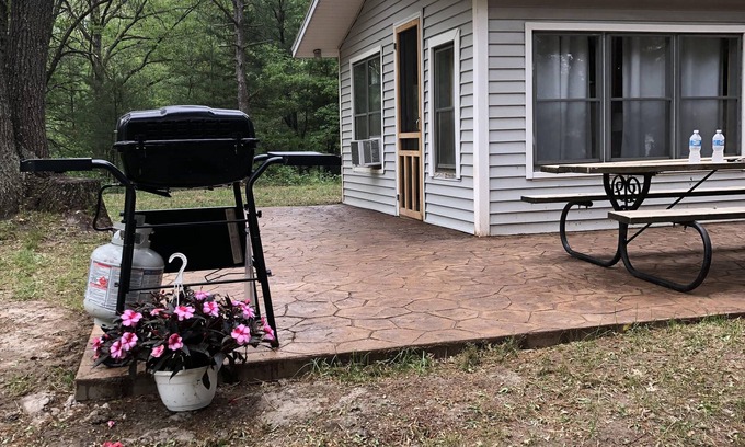 Newaygo Cabina | 1-bedroom cabin near Huron-Manistee National Forest