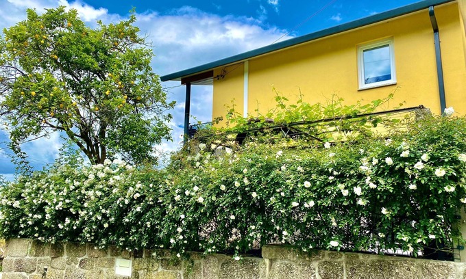 Ponte da Barca Casa | 1 bedroom private vacation home in vila nova de muãa
