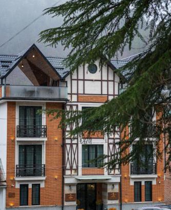 Borjomi Hotel | 1 Hotel Borjomi