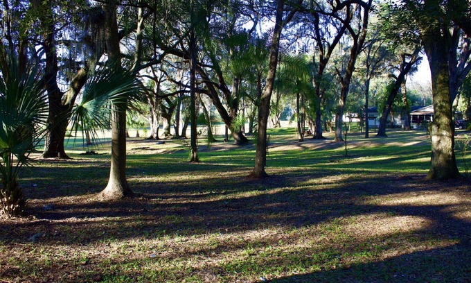 Zephyrhills West Casa | 10 % DISCOUNT Cheerful home on 3.5 acres with plenty parking /long term rental