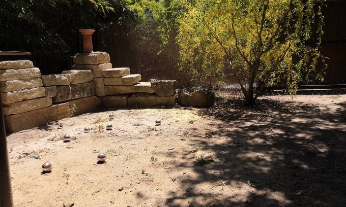 Juvignac Otro | 10 minutes from Montpellier Mas de BIAR, swimming pool, wooded garden, countryside, vineyards