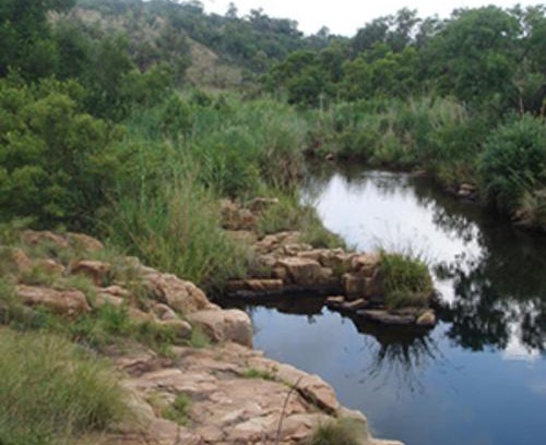 Buffelspoort Casa | 129B African Bushveld
