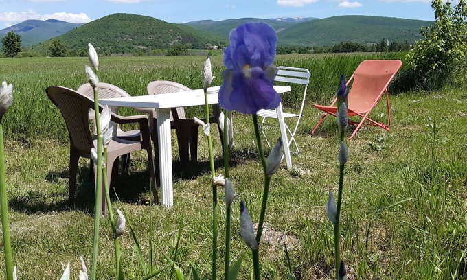 Ongles Apartamento | 13-person apartment in Provencal farmhouse. Terrace with breathtaking view