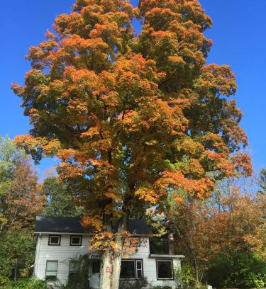 Tannersville Casa | 1894 Catskills Farmhouse Retreat