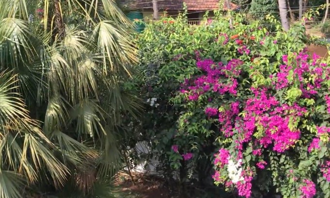 Betalbatim Apartamento | 1BHK Luxury Homestay In Betalbatim South Goa 1km from the Beach