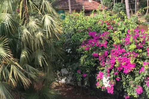 Betalbatim Apartamento | 1BHK Luxury Homestay In Betalbatim, South Goa