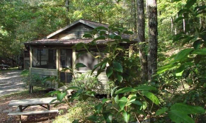 Brevard Cabina | 1BR Dogwood Den - Ash Grove