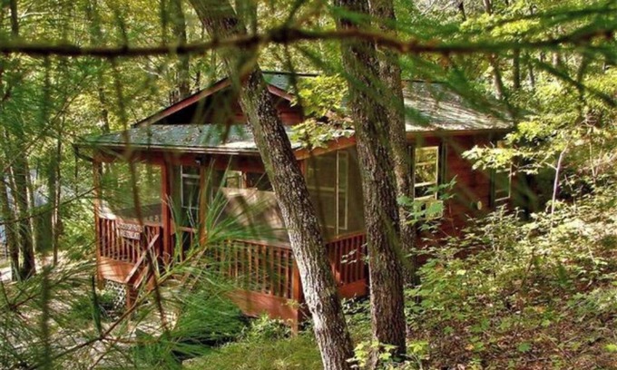 Brevard Cabina | 1BR Woodspirit's Retreat