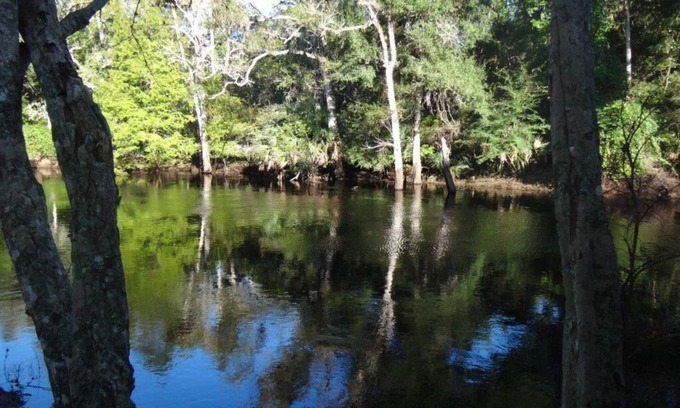 Steinhatchee Cabina | 2/1 frente al río! Cabaña-Chimeneas-Balcón-Naturaleza-Pesca-Golfo de México