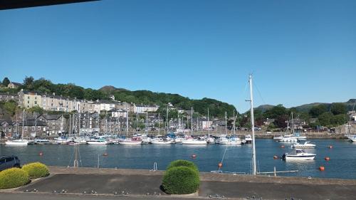 Borth-y-Gest Casa | 2 Bed Apartment on the harbour