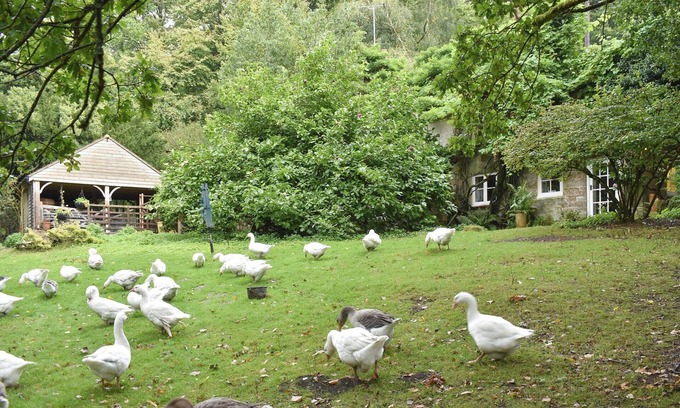Crowborough Cabaña | 2 bedroom accommodation in Crowborough