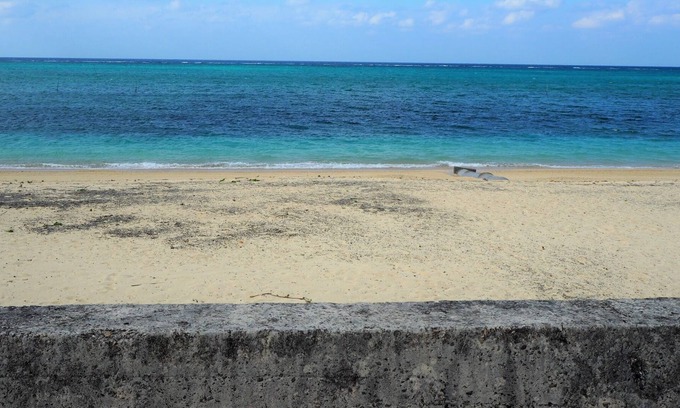Maeganeku Apartamento | 2 minutes walk to Moon Beach which was also ch - Moon House Room 101 / Kunigami-gun Okinawa