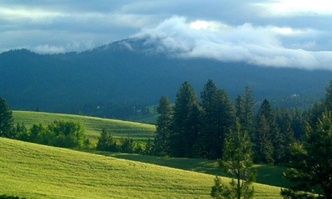 Moscow Otro | 2 Rooms: Quiet queen & twin rooms on an alpaca farm for 2-4 guests