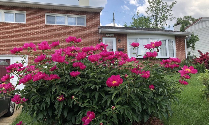 Catonsville Casa | 20% discount-Baltimore& DC Metro area